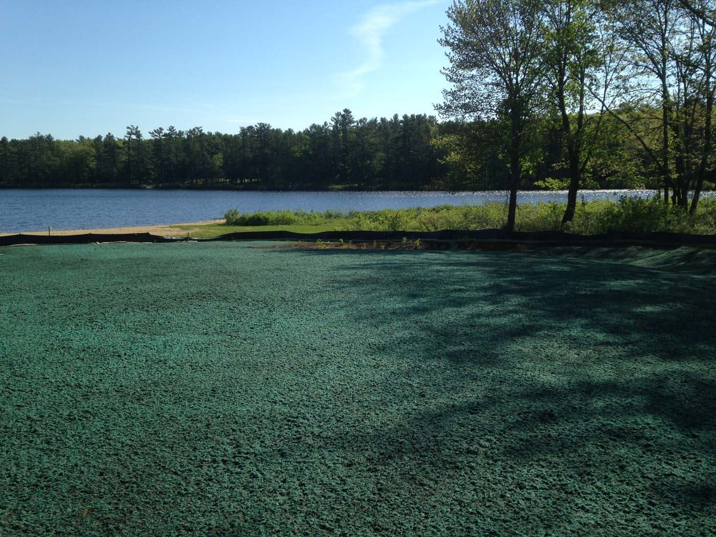 Lake Dennison
